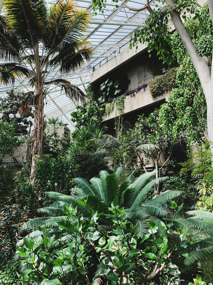 Barbican Trees
