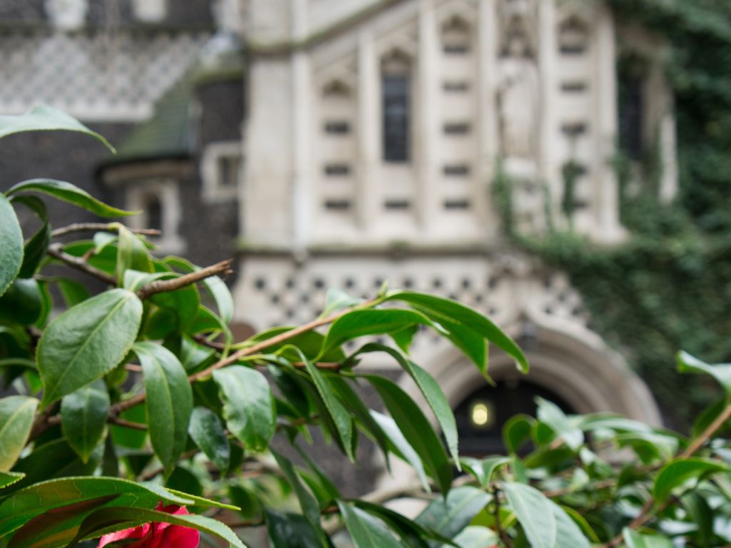 Rookery Neighbourhood 3